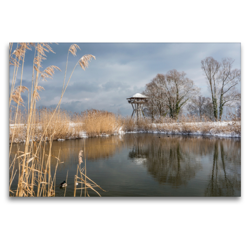 Seeburgpark und Seeburgturm in Kreuzlingen am Bodensee