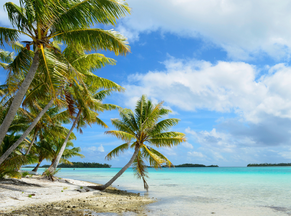 Strand mit Palmen