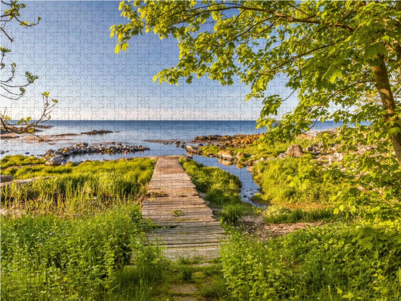 Frühlingspracht auf der Insel Bornholm