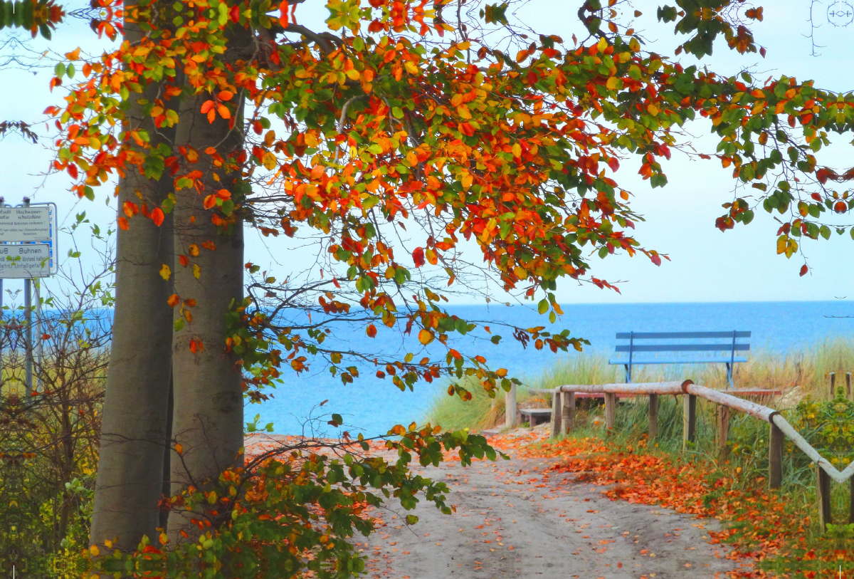 Herbst auf der Halbinsel Fischland-Darss-Zingst