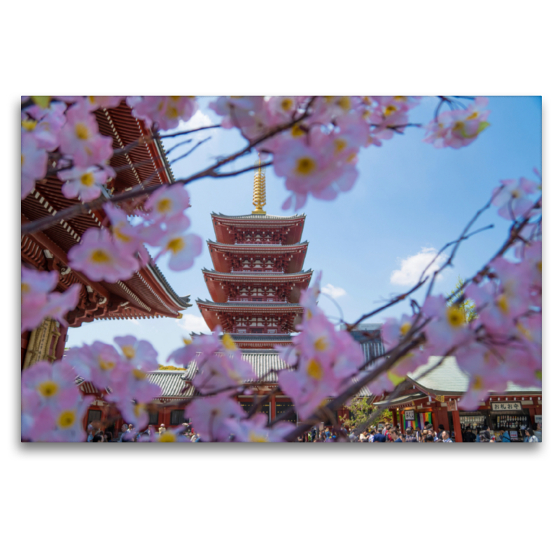 Tokio - Senso-Ji Tempel