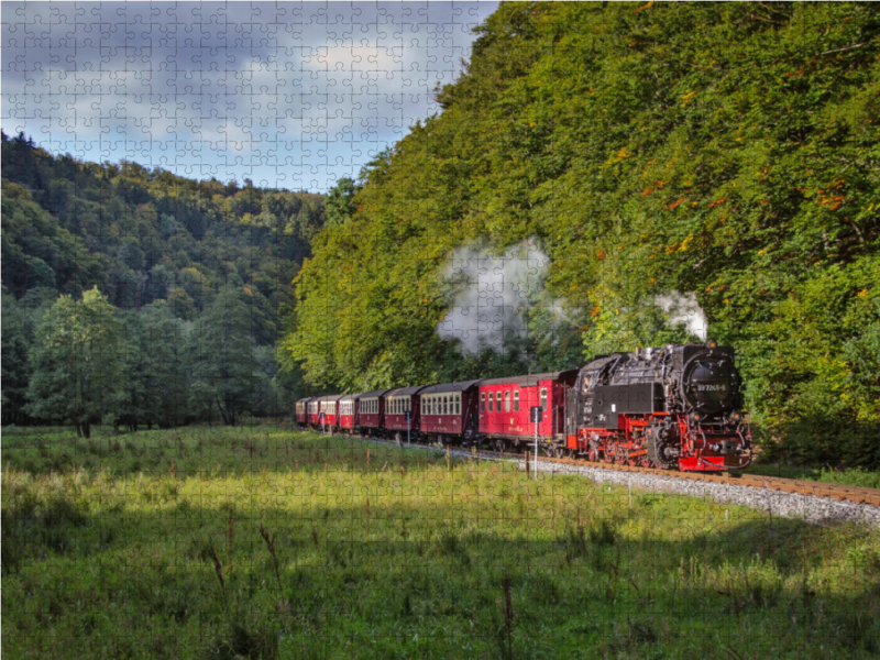 Harzquebahn an der Eichsfelder Talmühle