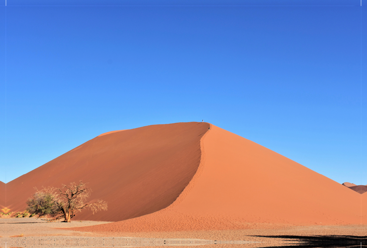 Rot knallt in das Blau: Die Düne 45 im Sossusvlei Nationalpark der Namib Wüste in Namibia