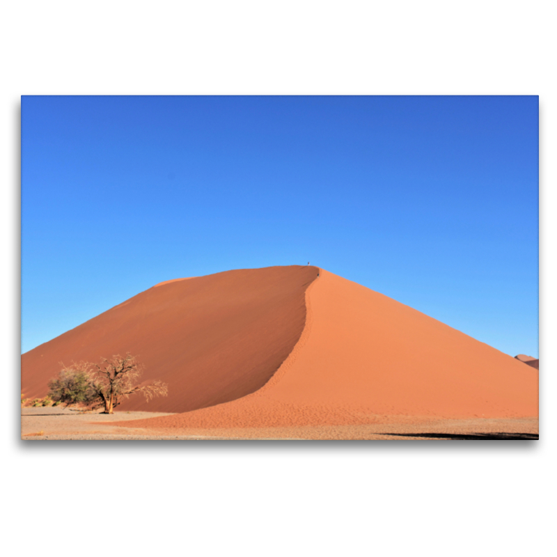 Rot knallt in das Blau: Die Düne 45 im Sossusvlei Nationalpark der Namib Wüste in Namibia