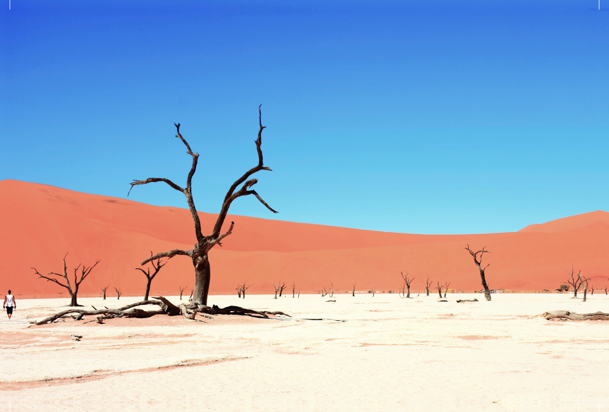 Die Tonpfanne Deadvlei im Sossusvlei Nationalpark in der Namib Wüste in Namibia