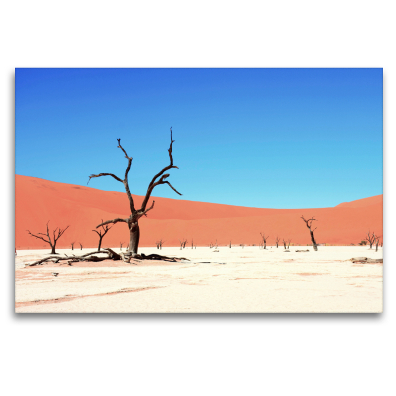 Die Tonpfanne Deadvlei im Sossusvlei Nationalpark in der Namib Wüste in Namibia