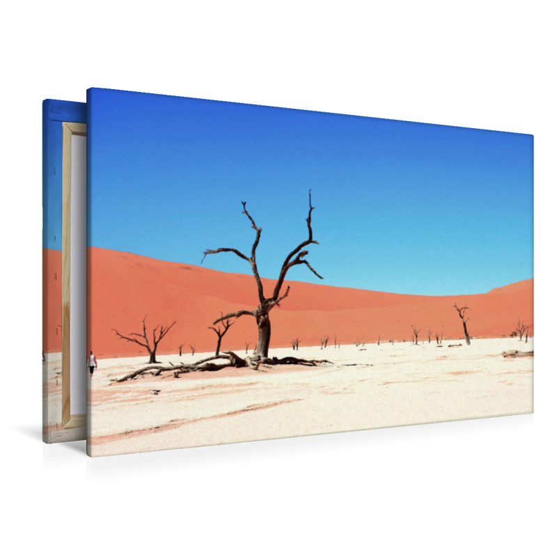 Die Tonpfanne Deadvlei im Sossusvlei Nationalpark in der Namib Wüste in Namibia