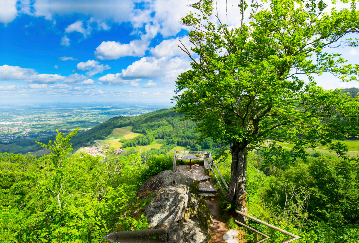 Burgruine oberhalb von Sasbachwalden