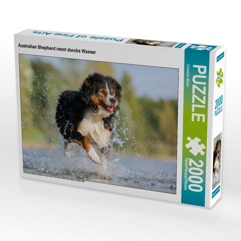 Australian Shepherd rennt durchs Wasser