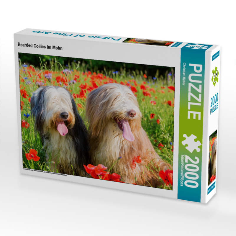 Bearded Collies im Mohn