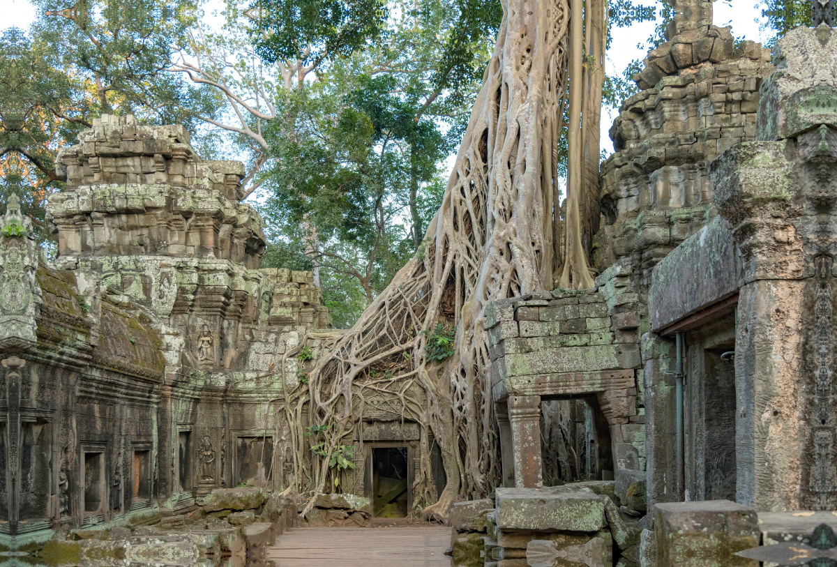 Angkor, Siem Reap, Kambodscha