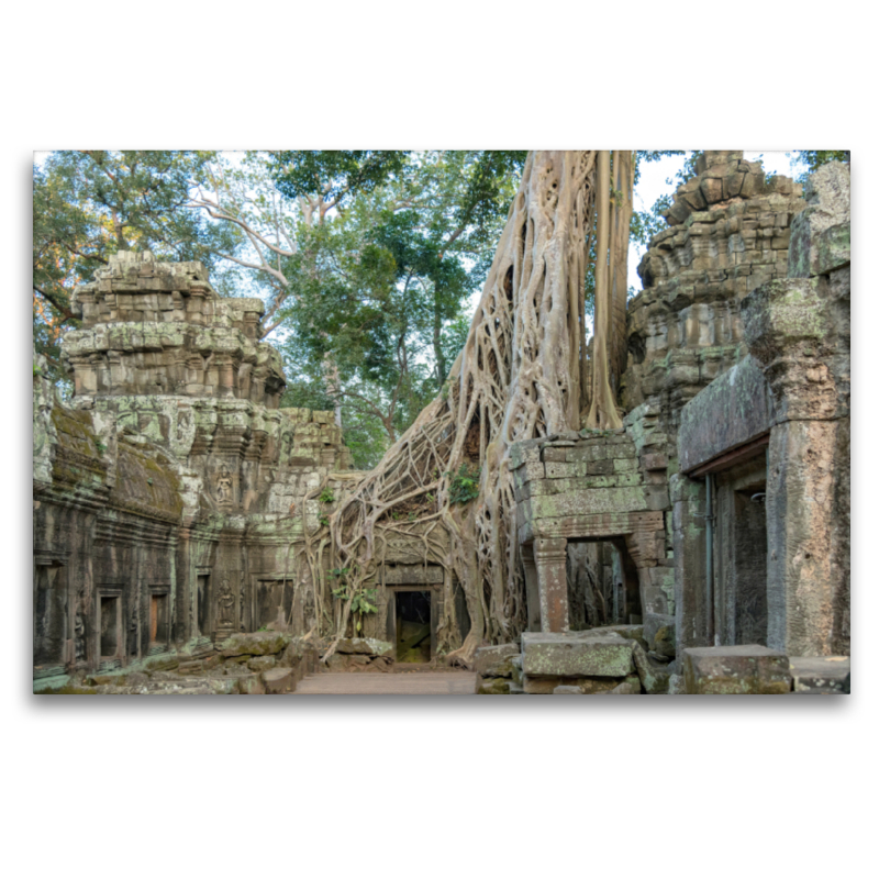 Angkor, Siem Reap, Kambodscha