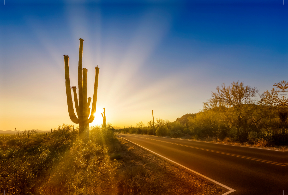 SAGUARO NATIONAL PARK Untergehende Sonne