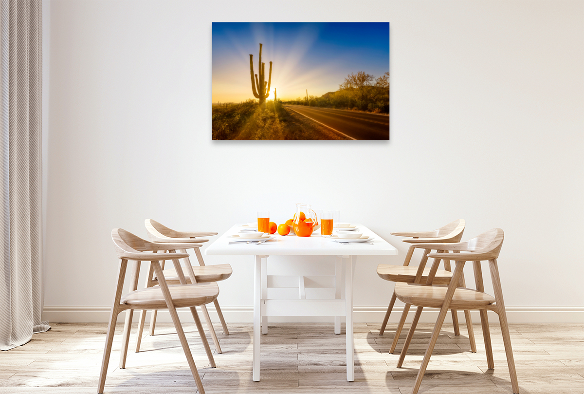 SAGUARO NATIONAL PARK Untergehende Sonne