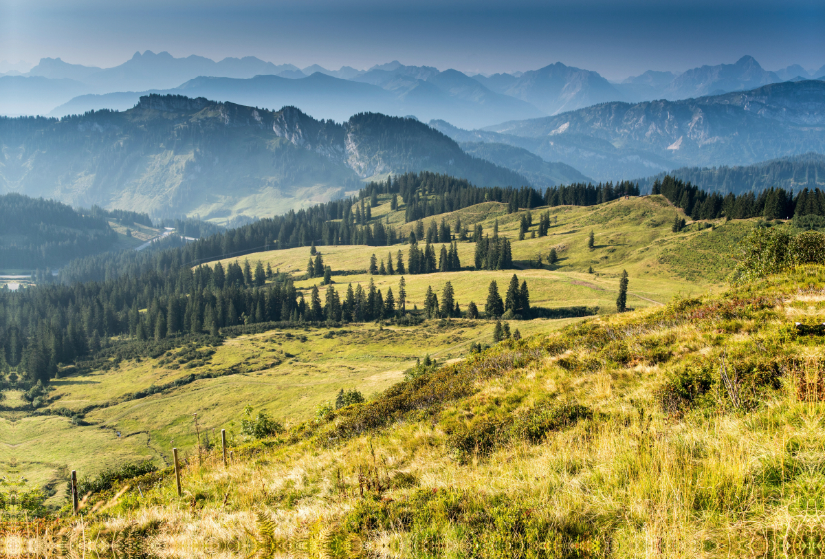 Am Riedberger Horn