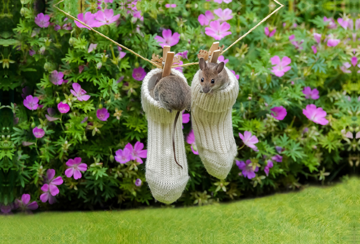 Das sind meine Lieblingskuschelsocken!