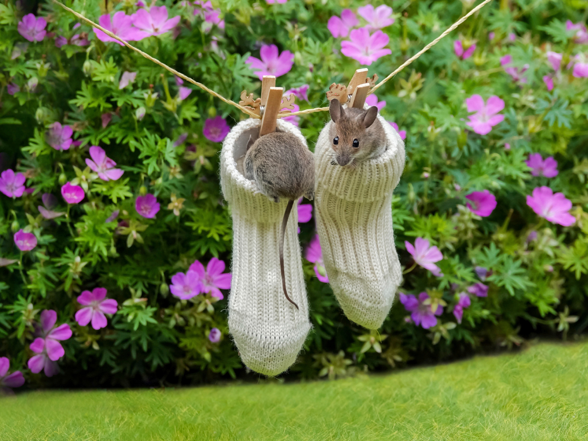 Das sind meine Lieblingskuschelsocken!