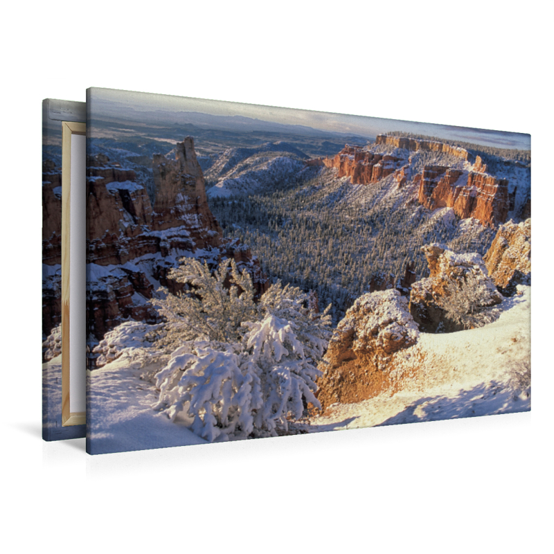 Bryce Canyon National Park, Utah, USA im Winter