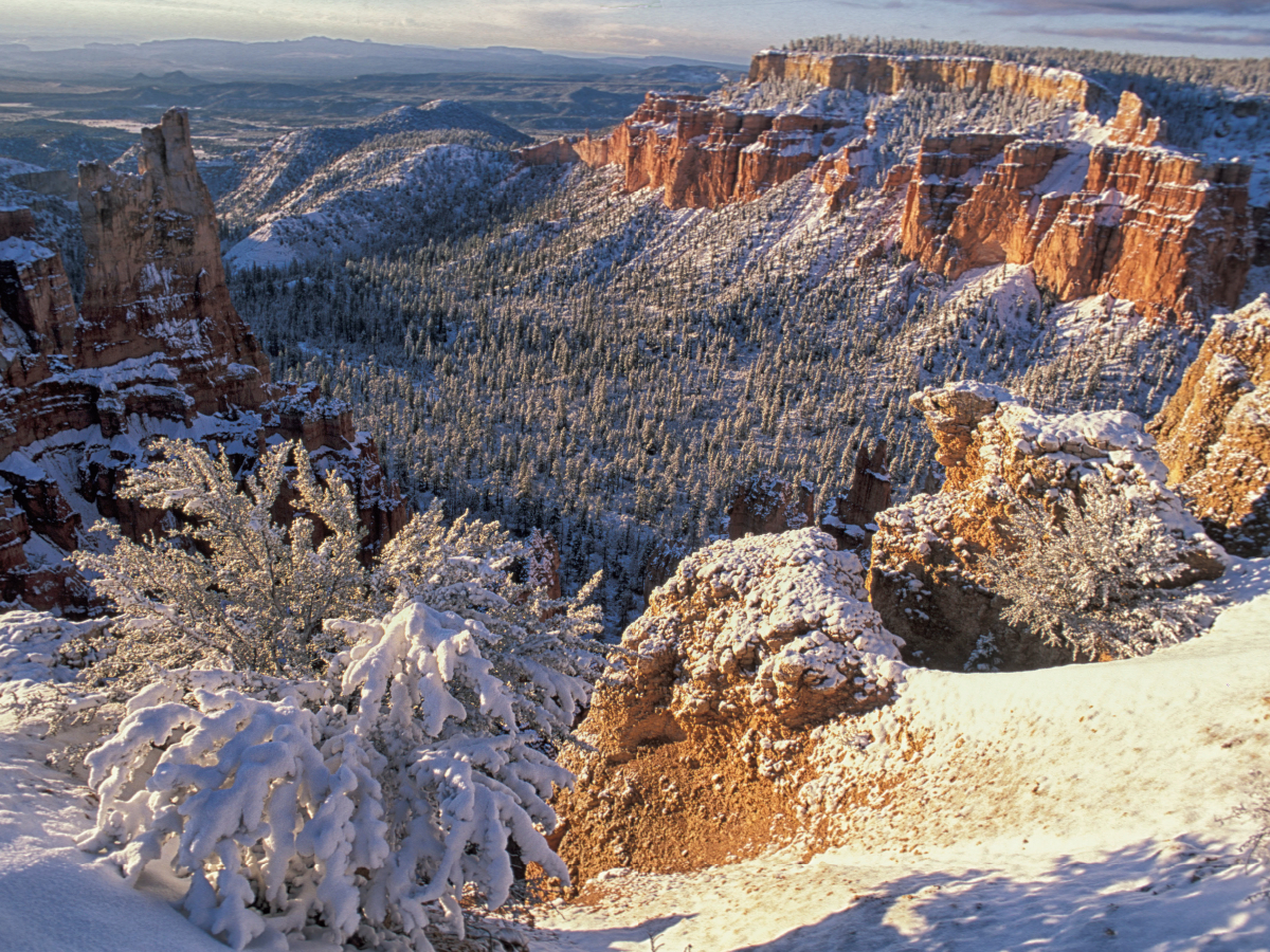 Bryce Canyon National Park, Utah, USA im Winter