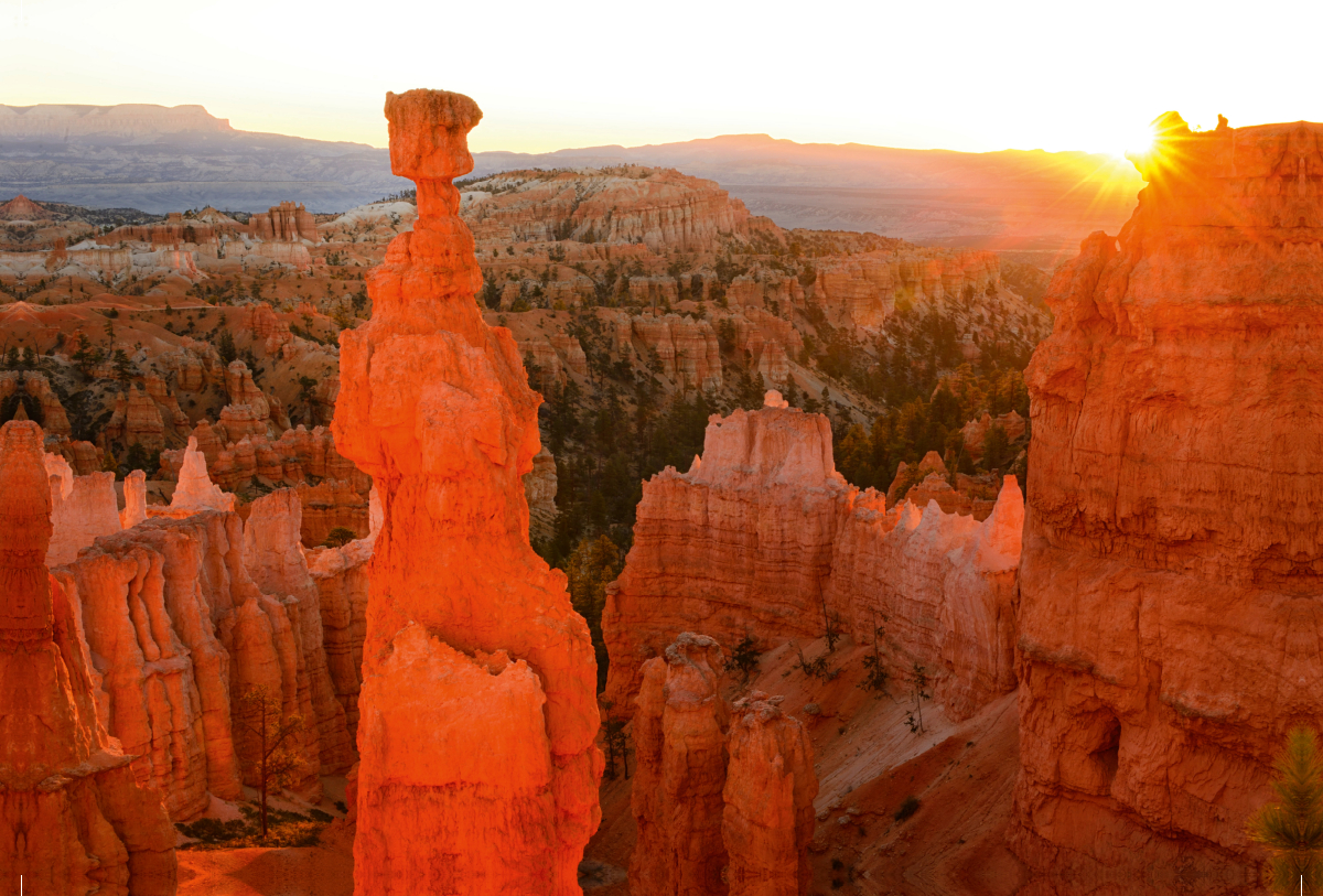 Bryce Canyon, National Park, Utah, USA