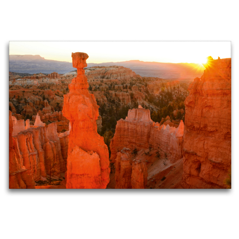 Bryce Canyon, National Park, Utah, USA