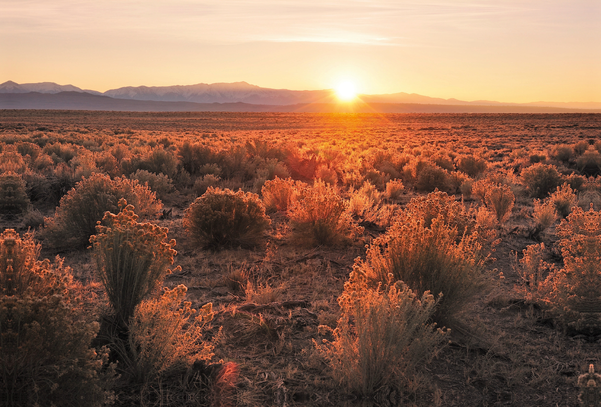 Sunrise near Mammoth Lakes, California, USA