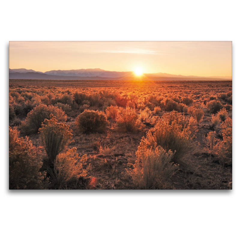 Sunrise near Mammoth Lakes, California, USA