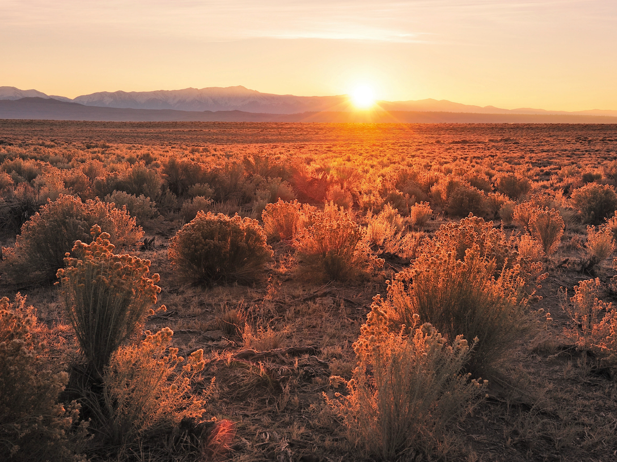 Sunrise near Mammoth Lakes, California, USA