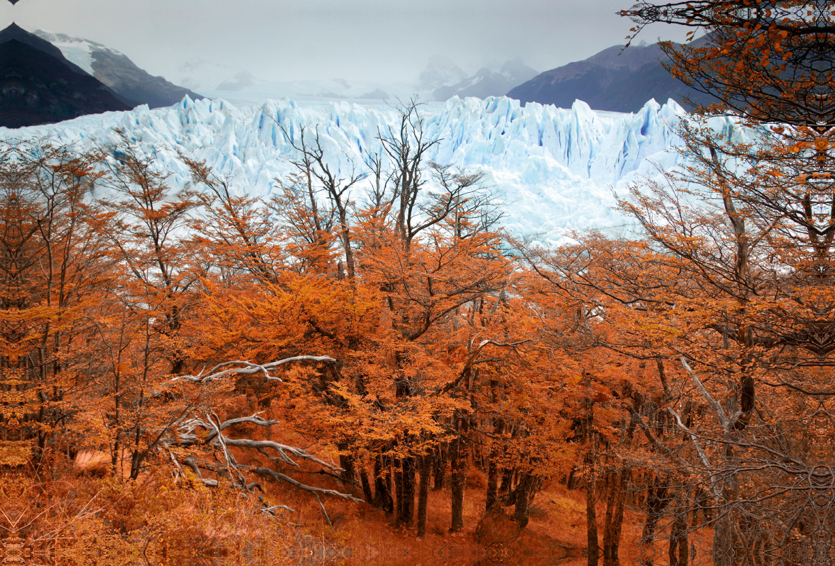 Glacier Perito Moreno, Parque Nacional Los Glaciares, El Calafate, Patagonia, Argentina