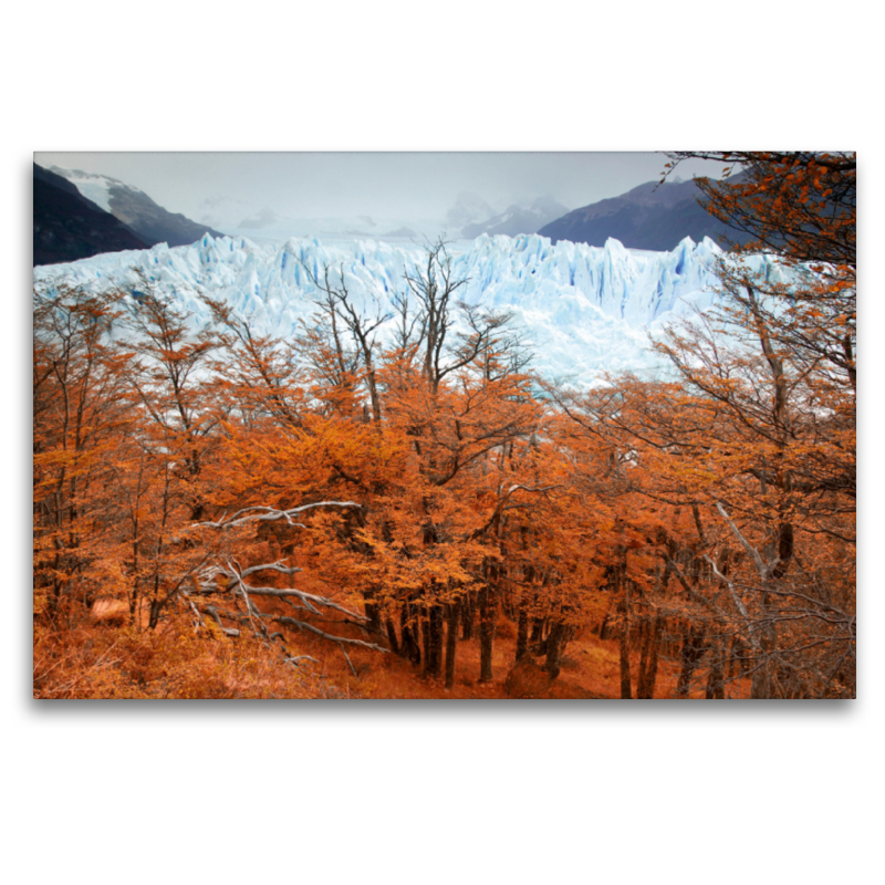 Glacier Perito Moreno, Parque Nacional Los Glaciares, El Calafate, Patagonia, Argentina