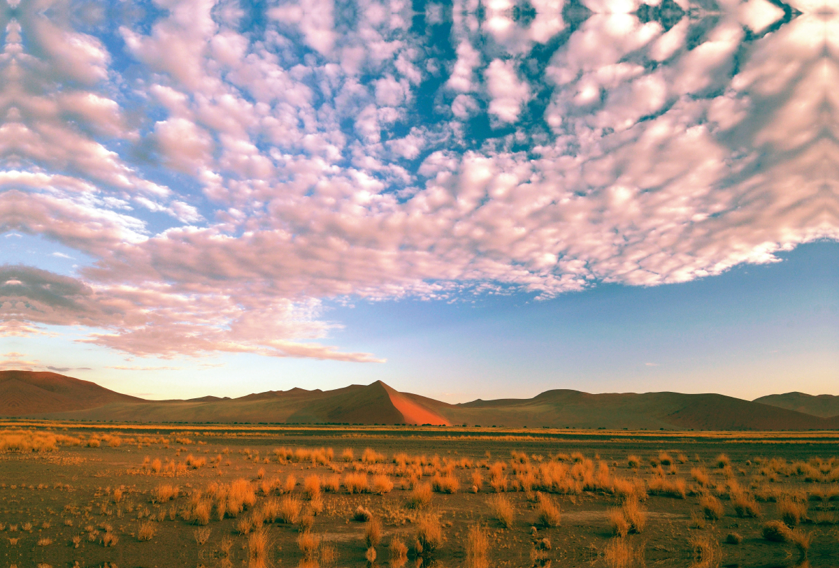 Sand dunes, Sossusvlei, Namib Naukluft Park, Namibia