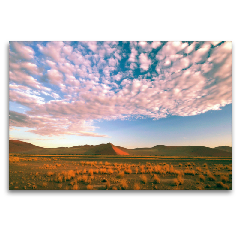 Sand dunes, Sossusvlei, Namib Naukluft Park, Namibia