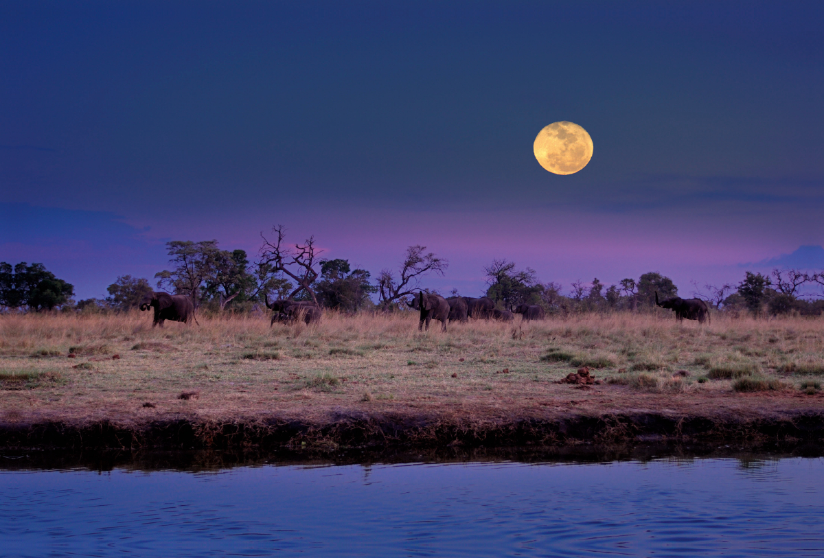 Ein Motiv aus dem Kalender NAMIBIA Christian Heeb - Familienplaner hoch