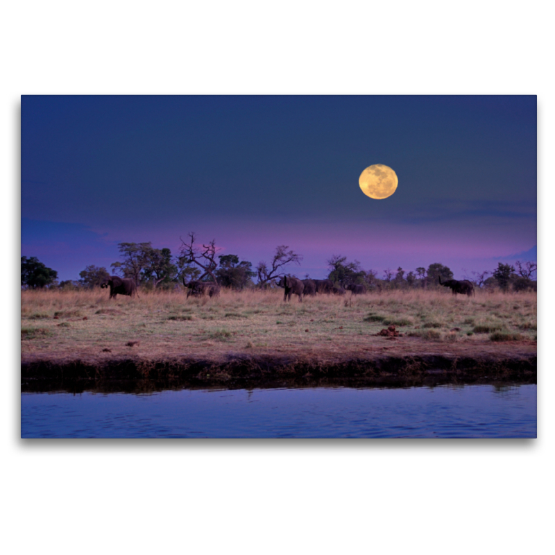 Ein Motiv aus dem Kalender NAMIBIA Christian Heeb - Familienplaner hoch