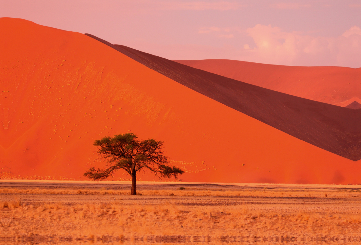 Sand Dunes, Sossusvlei, Namib Naukluft National Park, Namibia