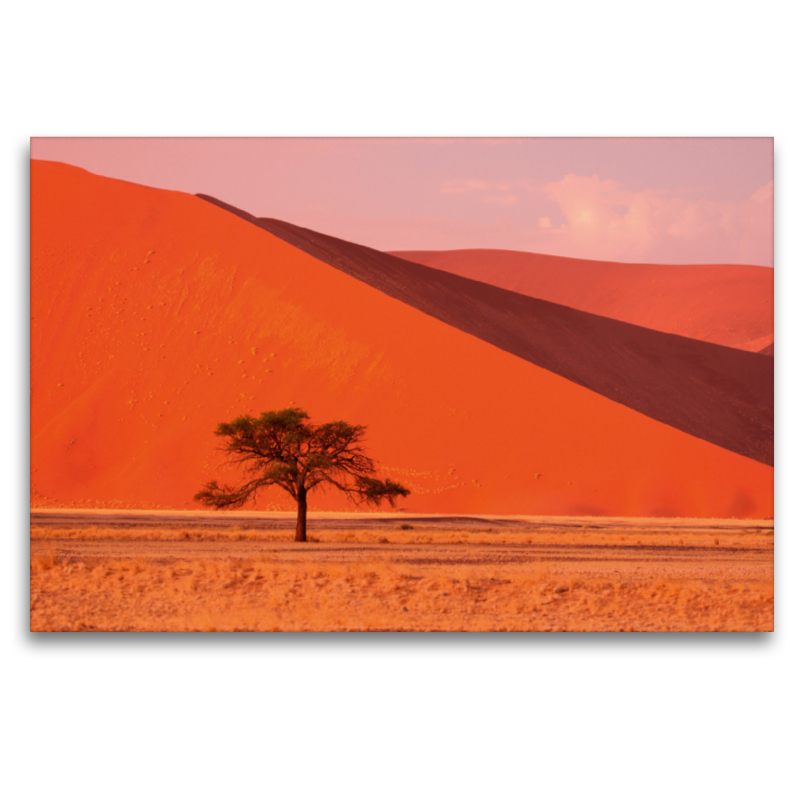 Sand Dunes, Sossusvlei, Namib Naukluft National Park, Namibia