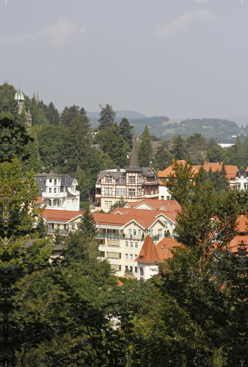 Blick auf Bad Harzburg