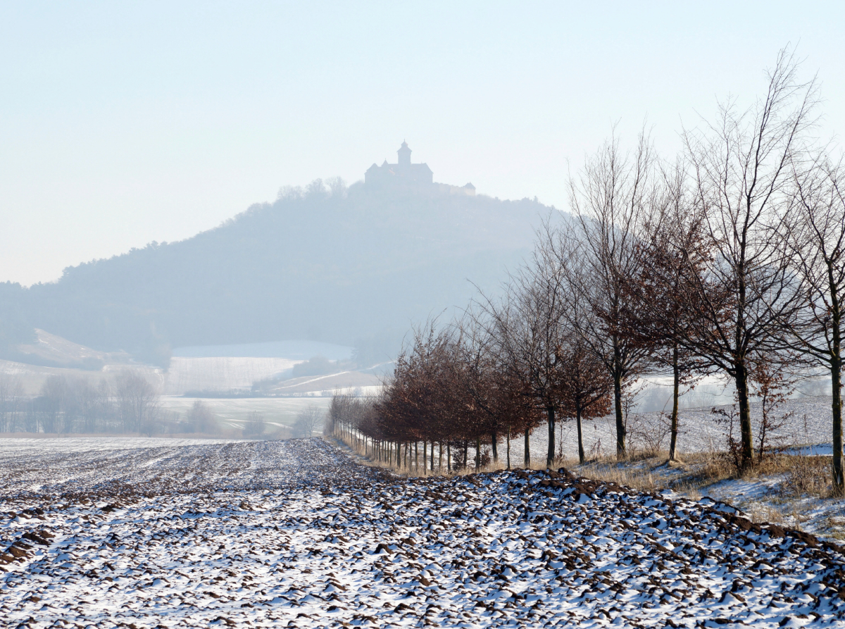 Veste Wachsenburg in Thüringen