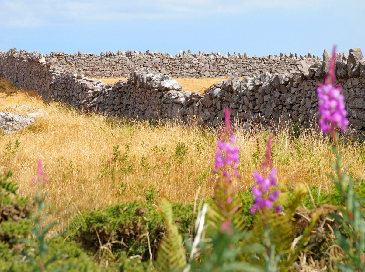 Trockenmauer in Wales