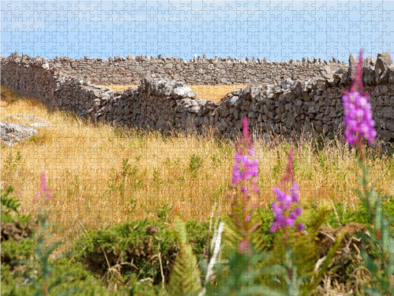 Trockenmauer in Wales