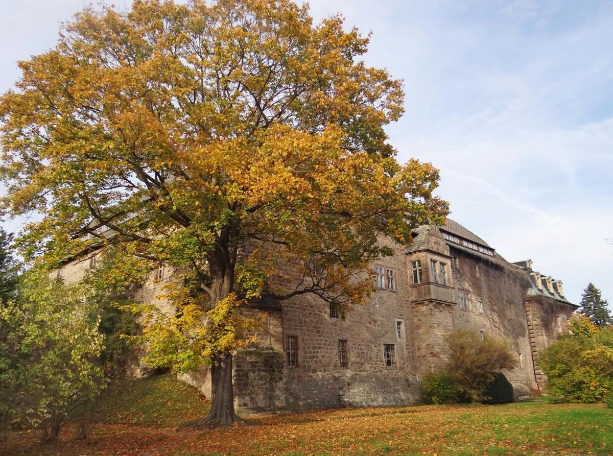 Schloss Burgscheidungen/Sachsen-Anhalt