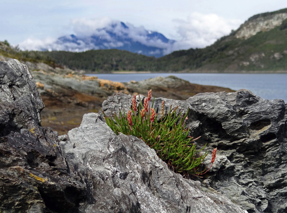 Tierra del Fuego - Große Feuerlandinsel/Argentinien