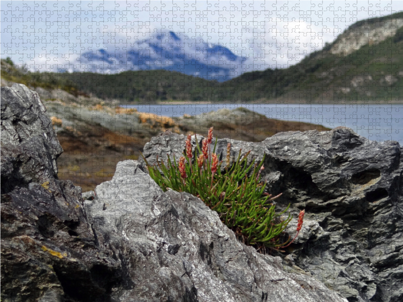 Tierra del Fuego - Große Feuerlandinsel/Argentinien