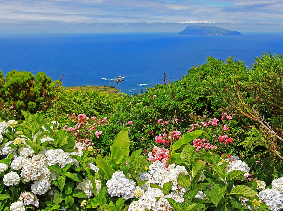 Steilküste mit Blick auf Corvo auf der Azoren-Insel Flores