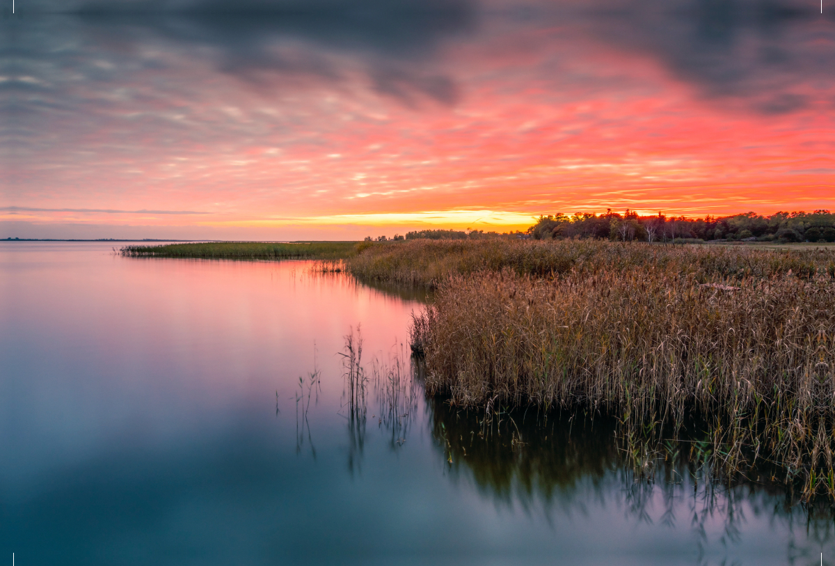 Abendstimmung am Bodden bei Born