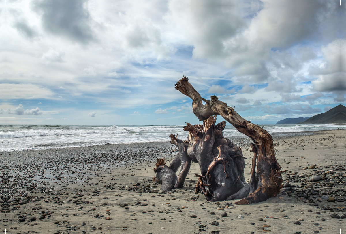 Ngakawau Beach, Neuseeland