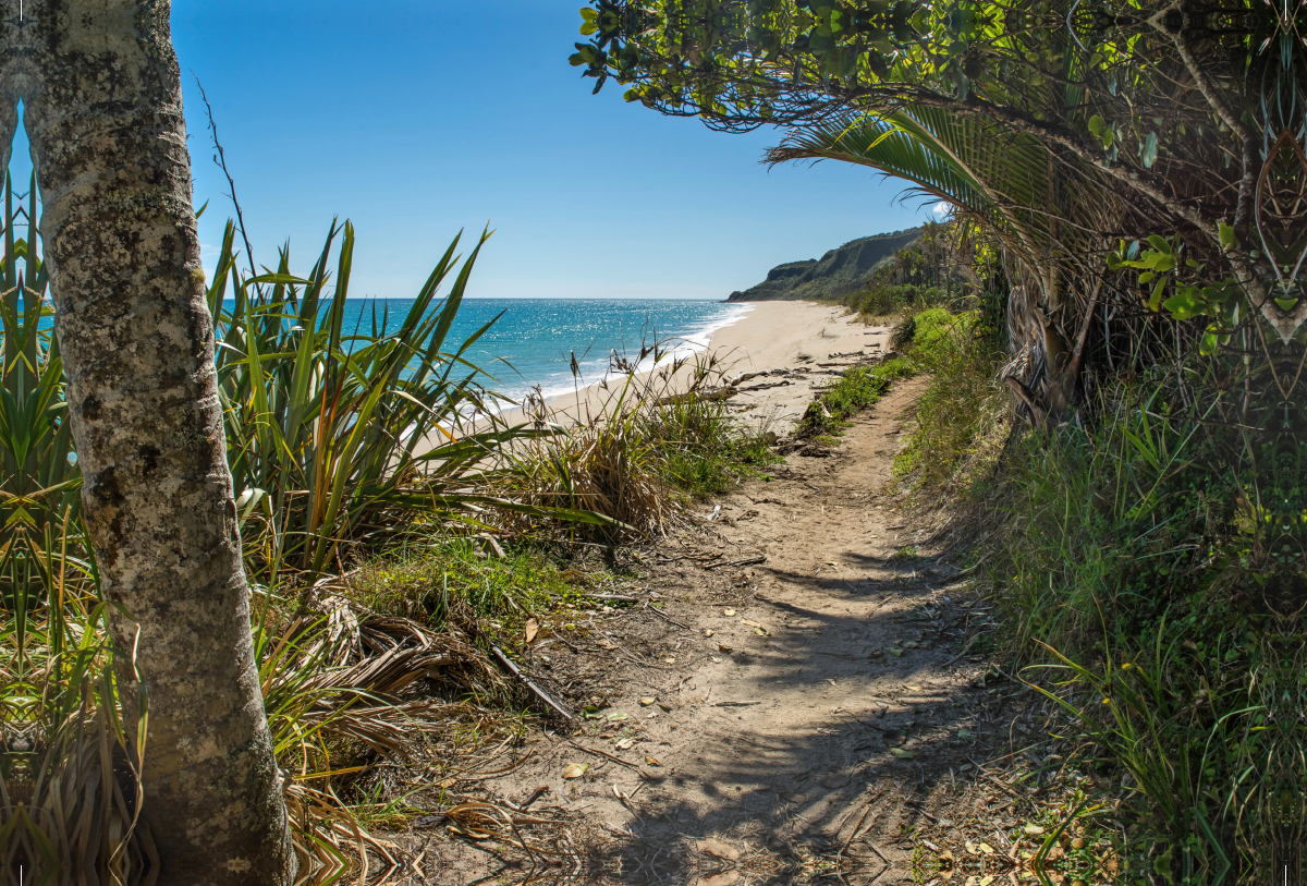 Heaphy Track, Neuseeland