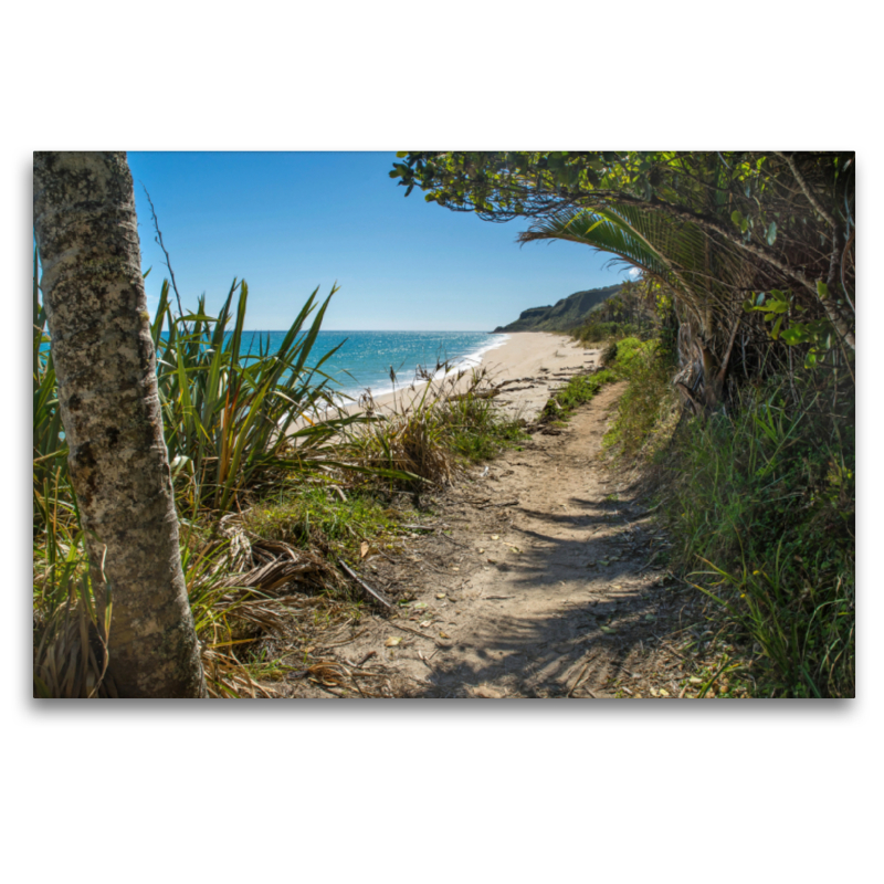 Heaphy Track, Neuseeland