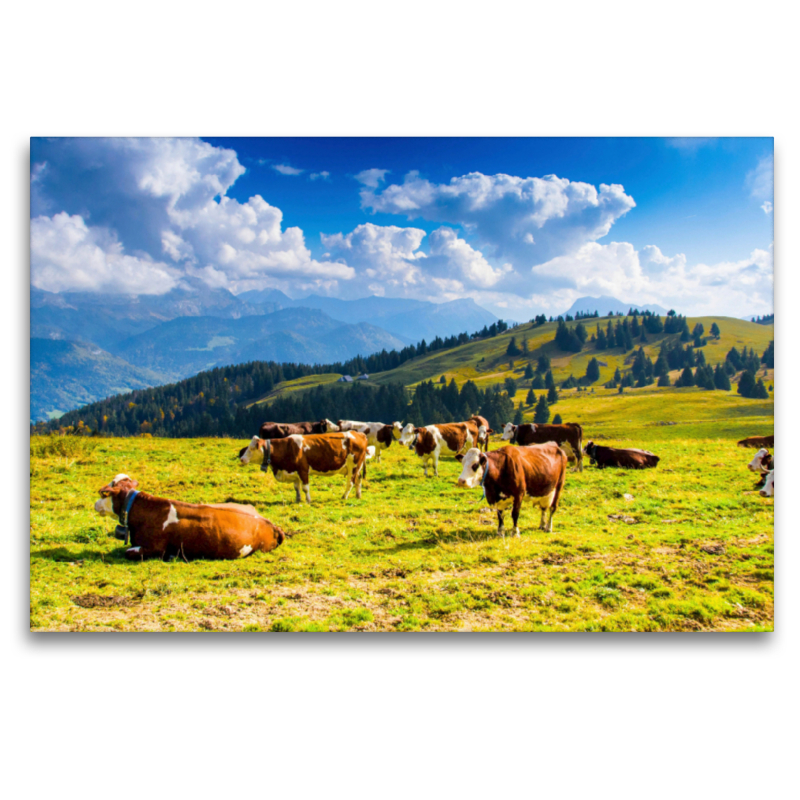 Alpenpanorama auf dem Semnoz