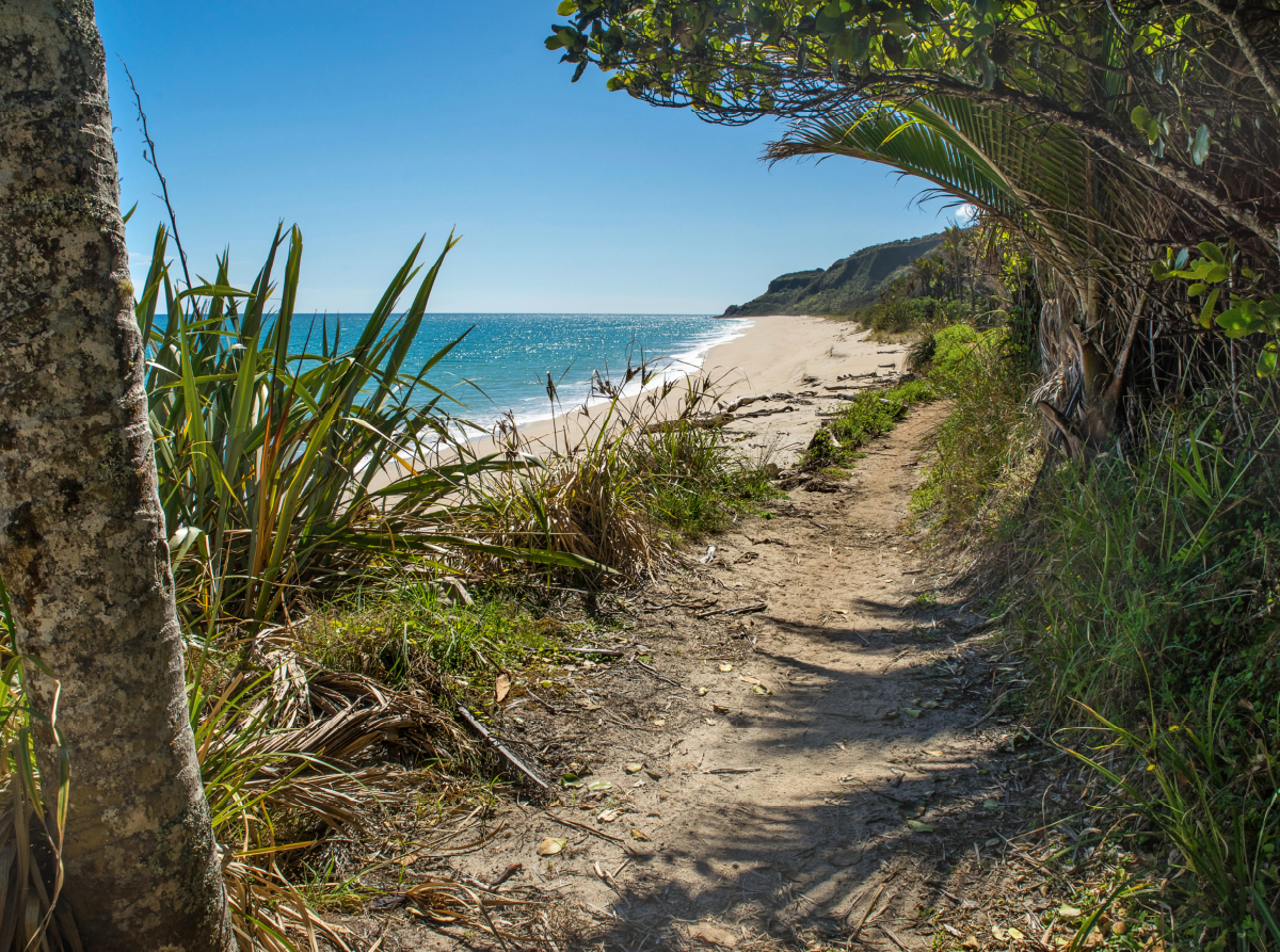 Heaphy Track, Neuseeland